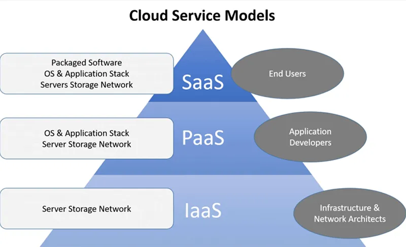 Platform vs application: Comprehensive analysis